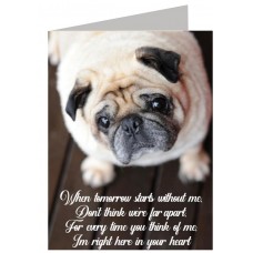 Wholesale Card Bob